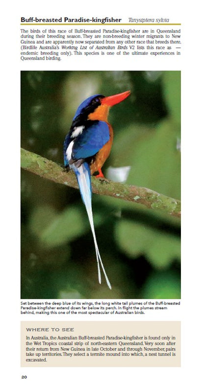 Pocket Field Guide to the Birdlife of Queensland 2/e