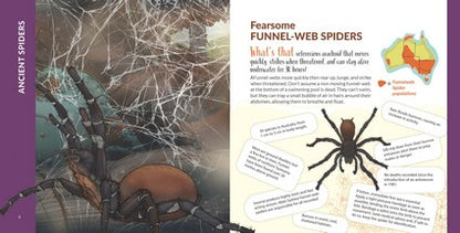 What's That? Australian Spiders