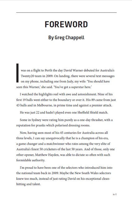 The Bull - David Warner