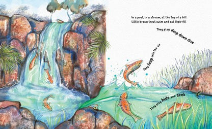 The Lonely Brown Trout