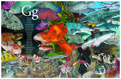 An A-Z of Ocean Creatures