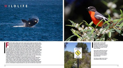 Magnificent Great Ocean Road