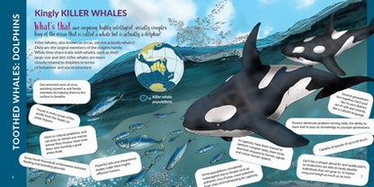 What's That? Australian Whales, Dolphins & Porpoises
