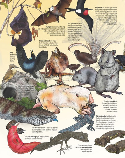 Wonderfully Weird Creatures of the World