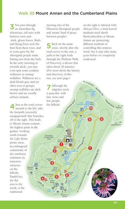 Sydney's Best Bush, Park & City Walks 3/e