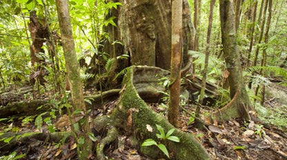 Australian Geographic Tropical QLD & the Great Barrier Reef