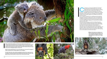 Australian Geographic Blue Mountains