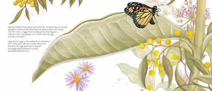 The Butterfly Within