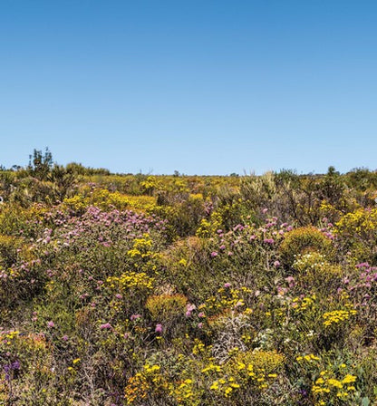 Australian Geographic Southwest Australia