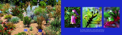 Perth, Fremantle and Rottnest 2/e