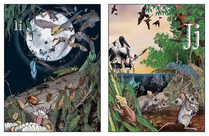 An A-Z of Australian Bush Creatures