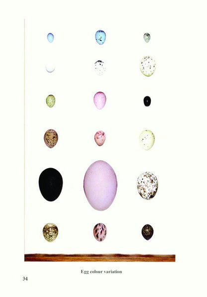 Australian Birds, their Nests and Eggs (Facsimile Edition) 2/e