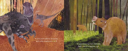 The A in the Rainforest