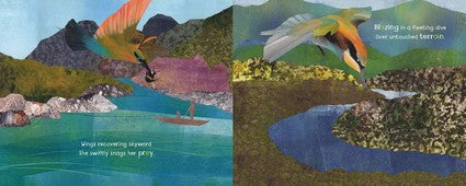 The A in the Rainforest