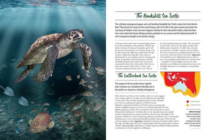 Australia's Endangered Bush Creatures