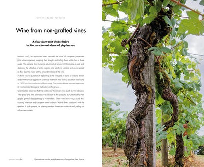 Unusual Wines