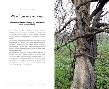 Unusual Wines