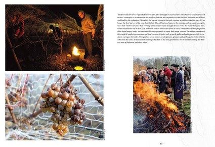 Atlas of Unusual Wines