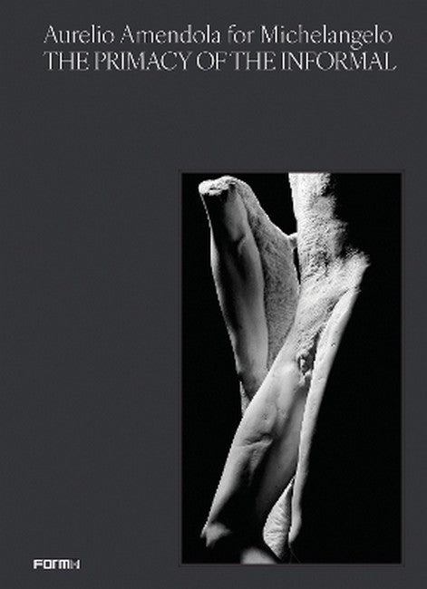 Aurelio Amendola for Michelangelo