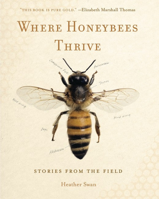 Where Honeybees Thrive: