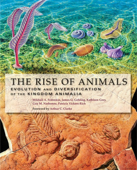 Rise of Animals: