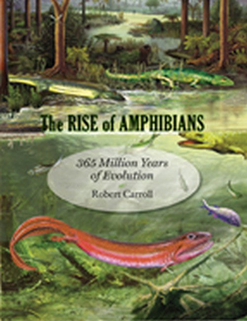 Rise of Amphibians: